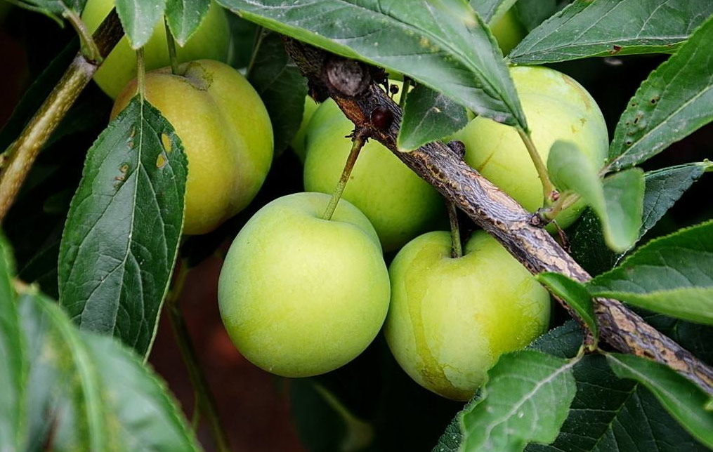 图片[3]-自卑又无奈，好想逃离这纷争。-趣玩吧-LANIN·BK 兰宁博客