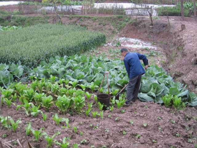 图片[2]-自卑又无奈，好想逃离这纷争。-趣玩吧-LANIN·BK 兰宁博客