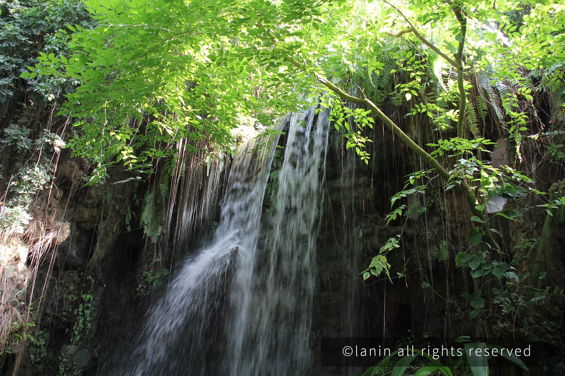 图片[49]-植物园里的植物-趣玩吧-LANIN·BK 兰宁博客