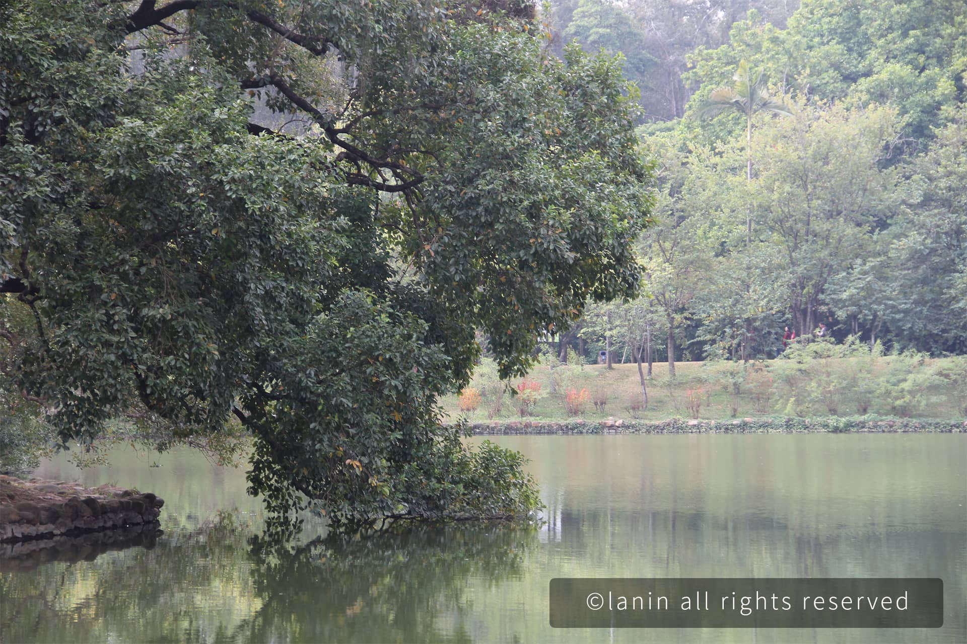 图片[53]-植物园里的植物-趣玩吧-LANIN·BK 兰宁博客