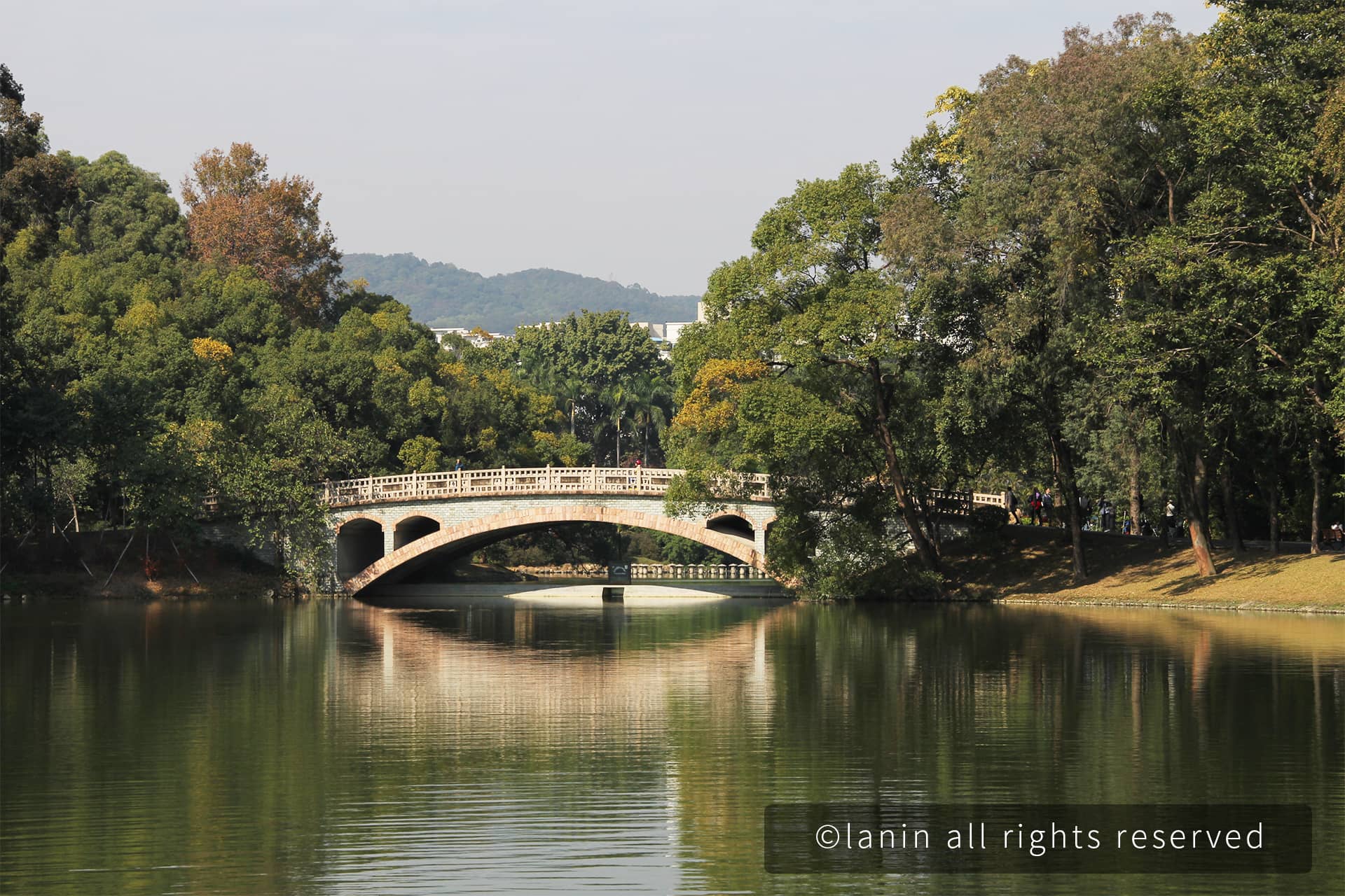 图片[54]-植物园里的植物-趣玩吧-LANIN·BK 兰宁博客