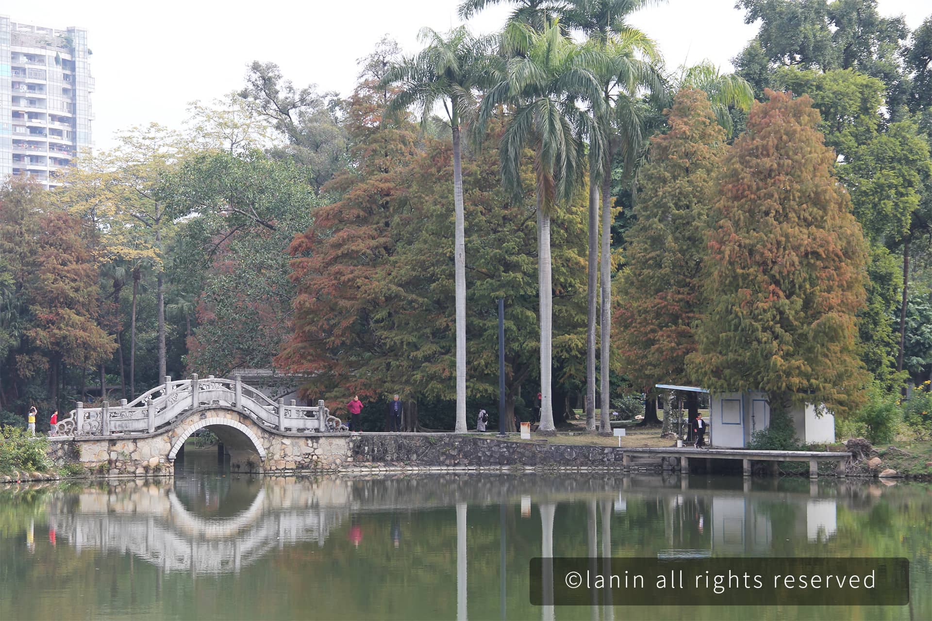 图片[50]-植物园里的植物-趣玩吧-LANIN·BK 兰宁博客