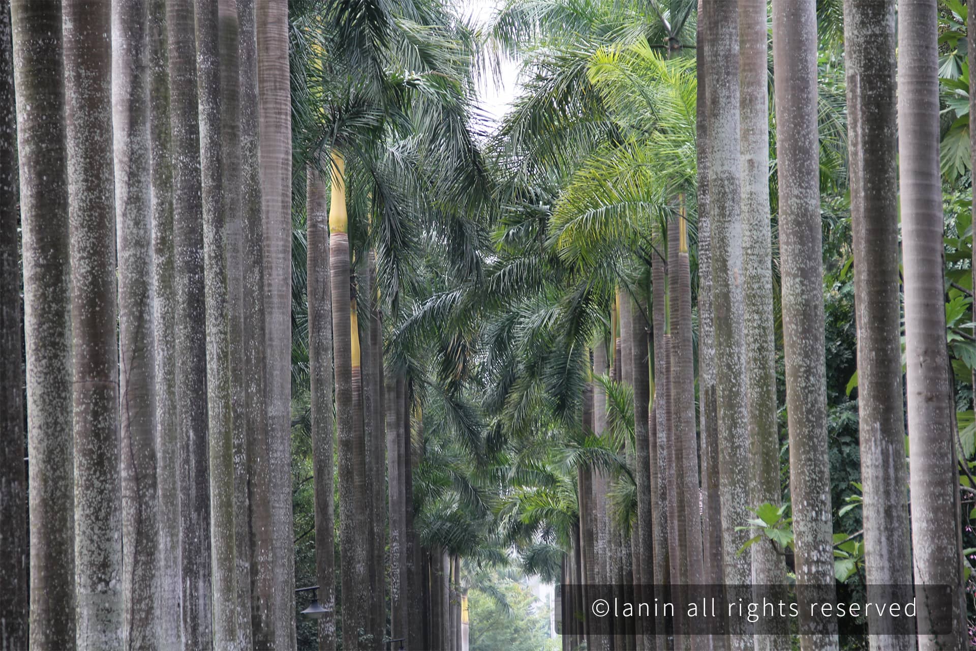 图片[5]-植物园里的植物-趣玩吧-LANIN·BK 兰宁博客