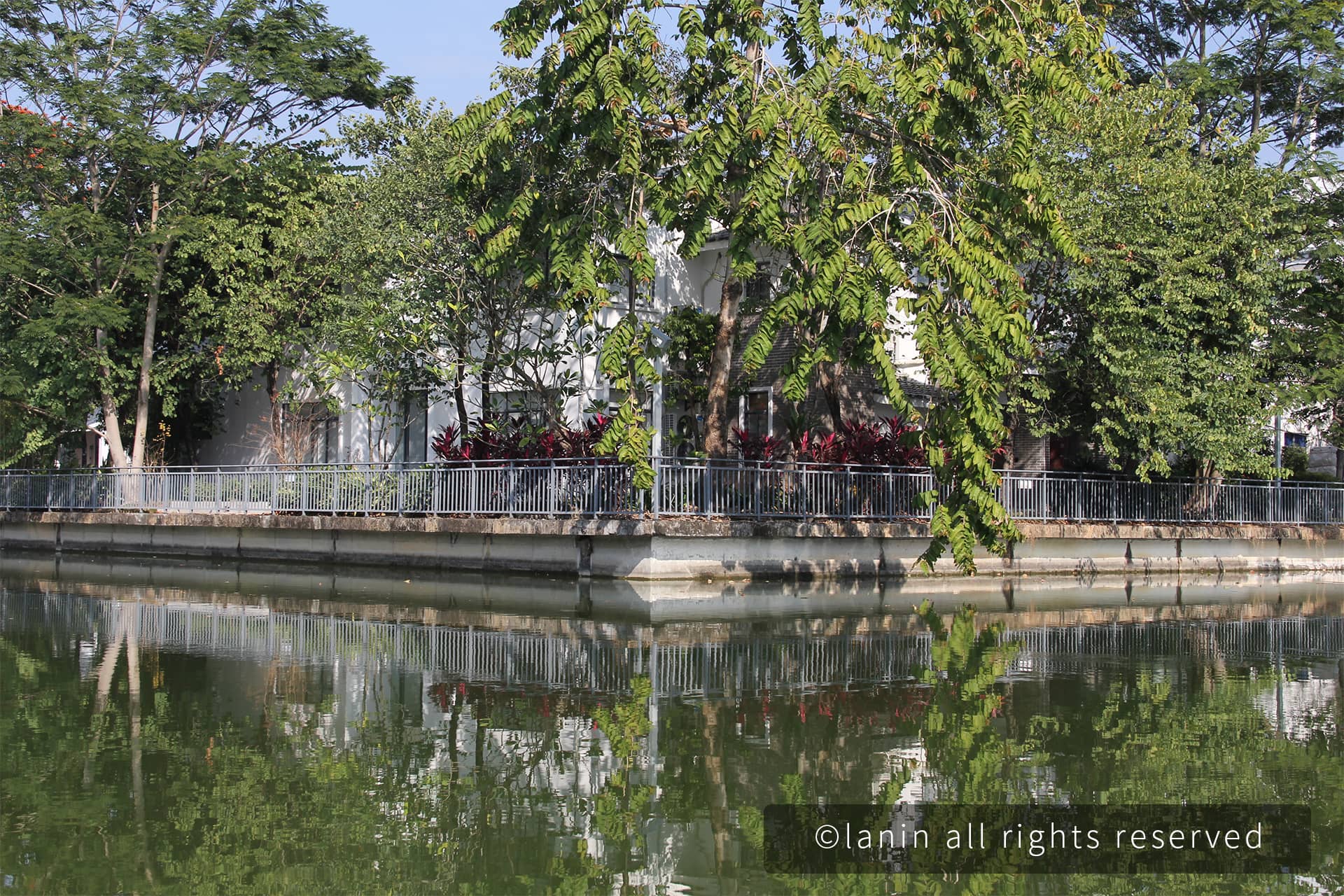 图片[51]-植物园里的植物-趣玩吧-LANIN·BK 兰宁博客