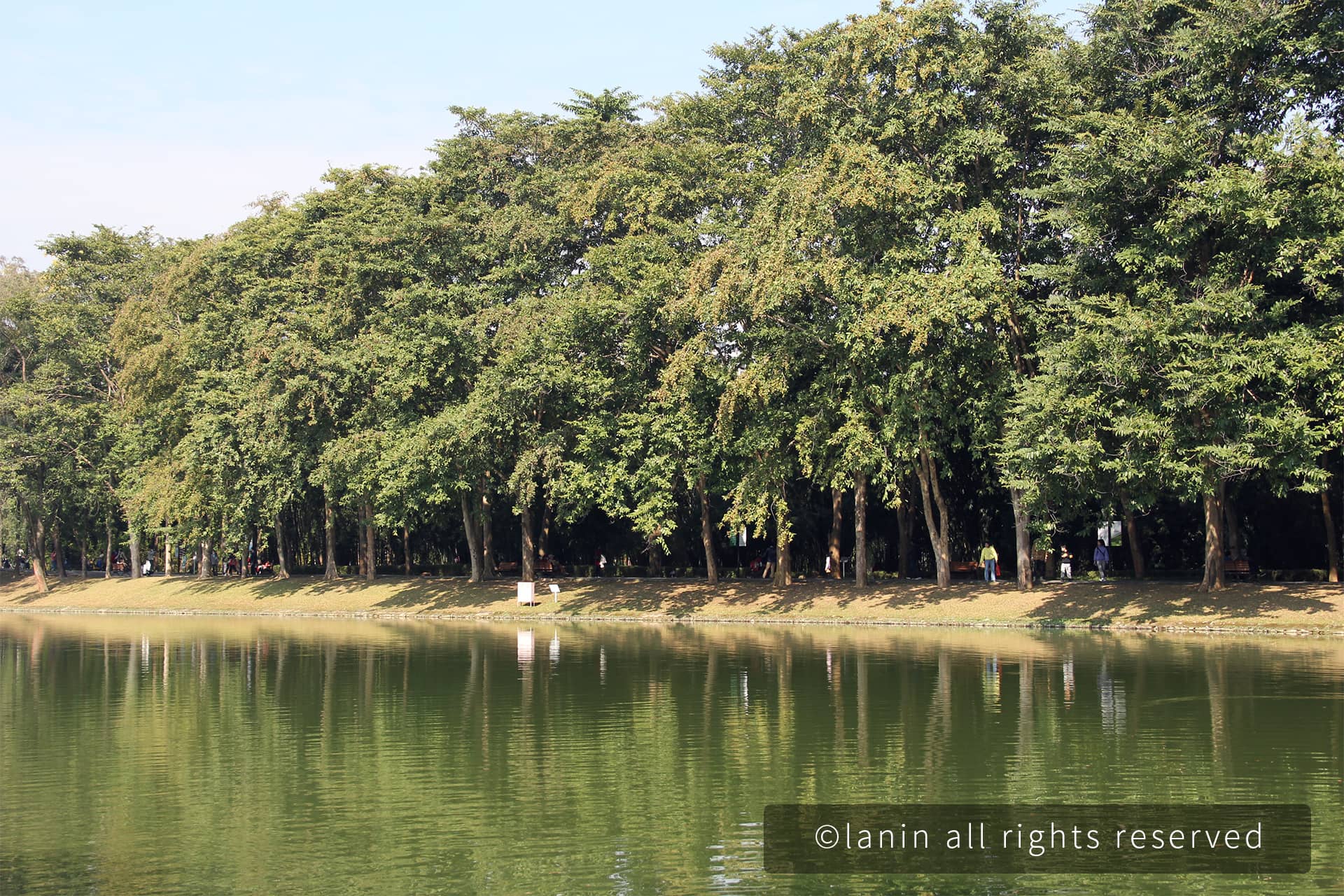 图片[55]-植物园里的植物-趣玩吧-LANIN·BK 兰宁博客
