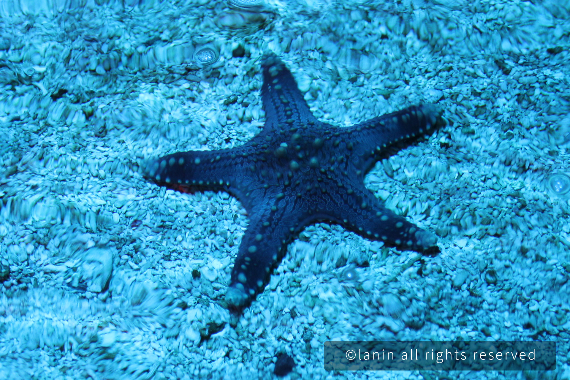 图片[13]-看啊！那些可爱的·····-趣玩吧-LANIN·BK 兰宁博客