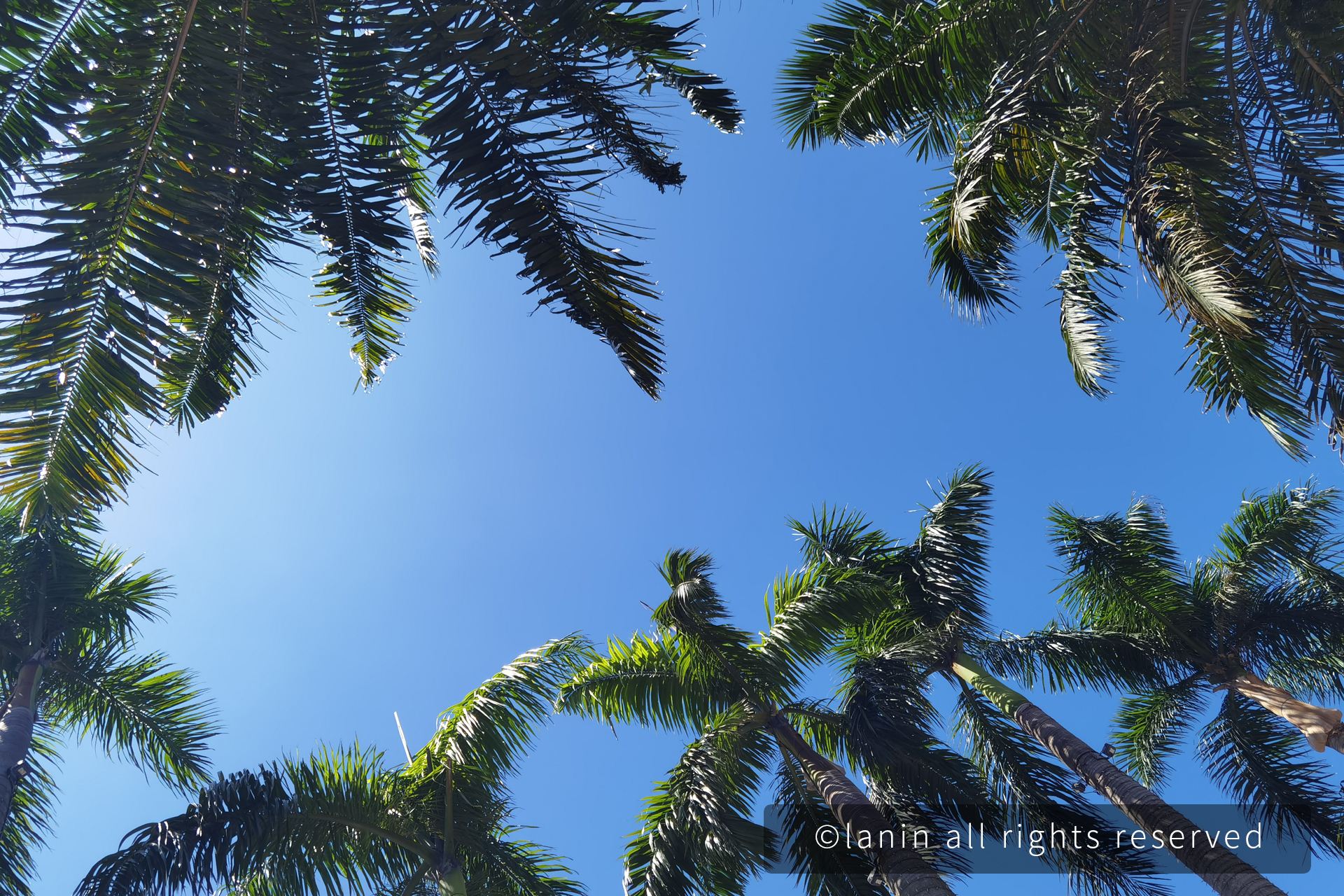 图片[7]-【走出去·遇见美好】国庆珠海看海之旅-趣玩吧-LANIN·BK 兰宁博客