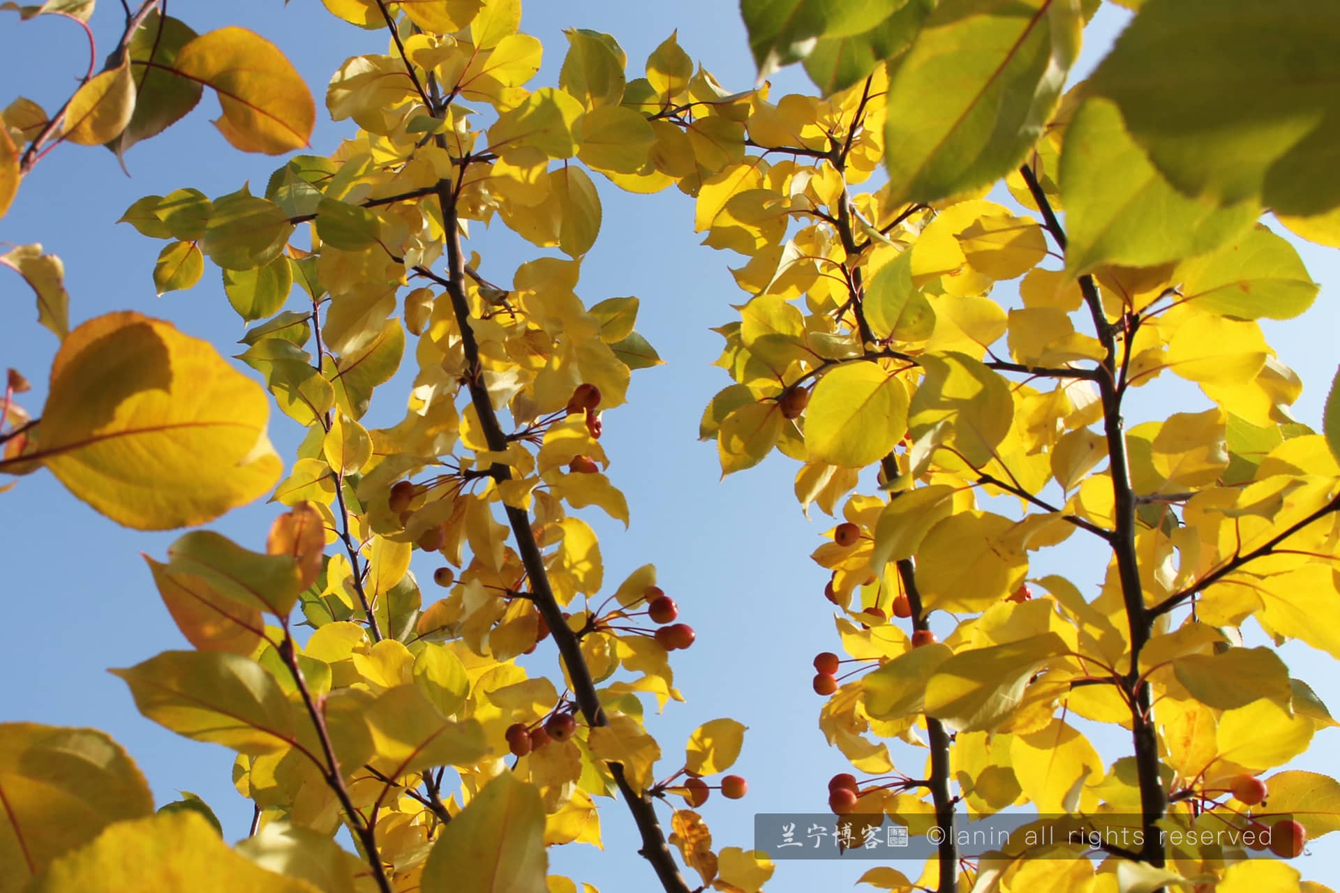 图片[14]-国庆新疆行，一次远途风光之旅-趣玩吧-LANIN·BK 兰宁博客