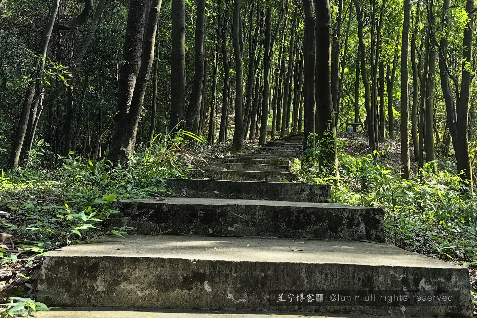 图片[9]-有辛酸有煎熬回头看看其实不算什么；人生很短，想明白自己要什么就朝着这个方向不断努力奋斗吧！-趣玩吧-LANIN·BK 兰宁博客