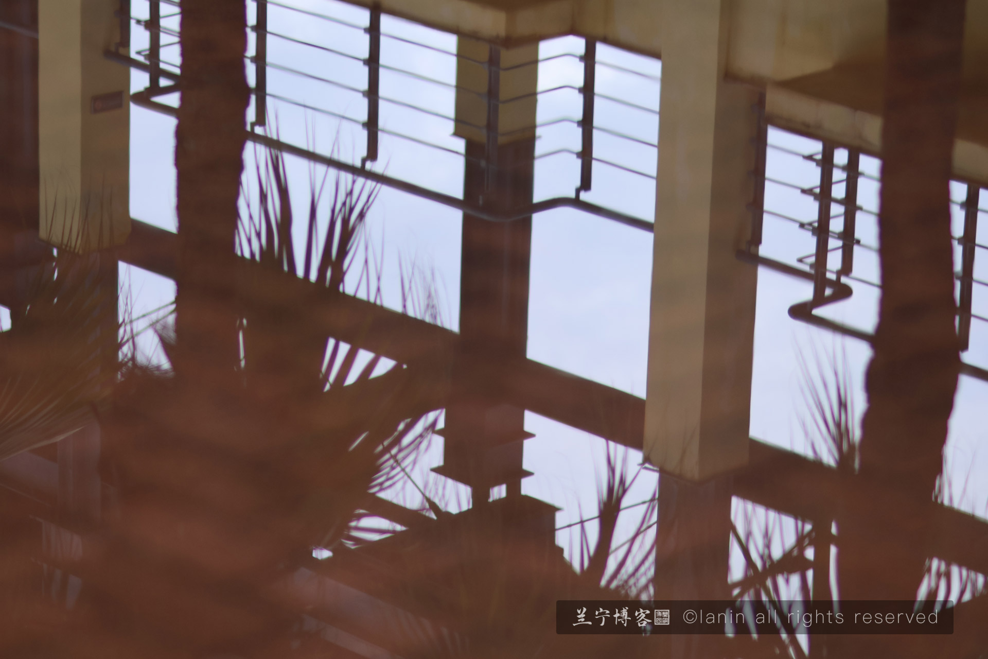 图片[2]-当春天抵达时，连风都带着清甜的味道-趣玩吧-LANIN·BK 兰宁博客